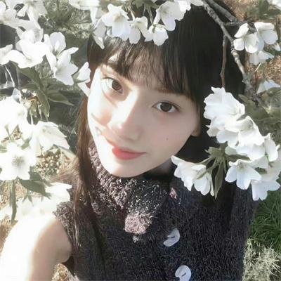 重生之绝世医仙